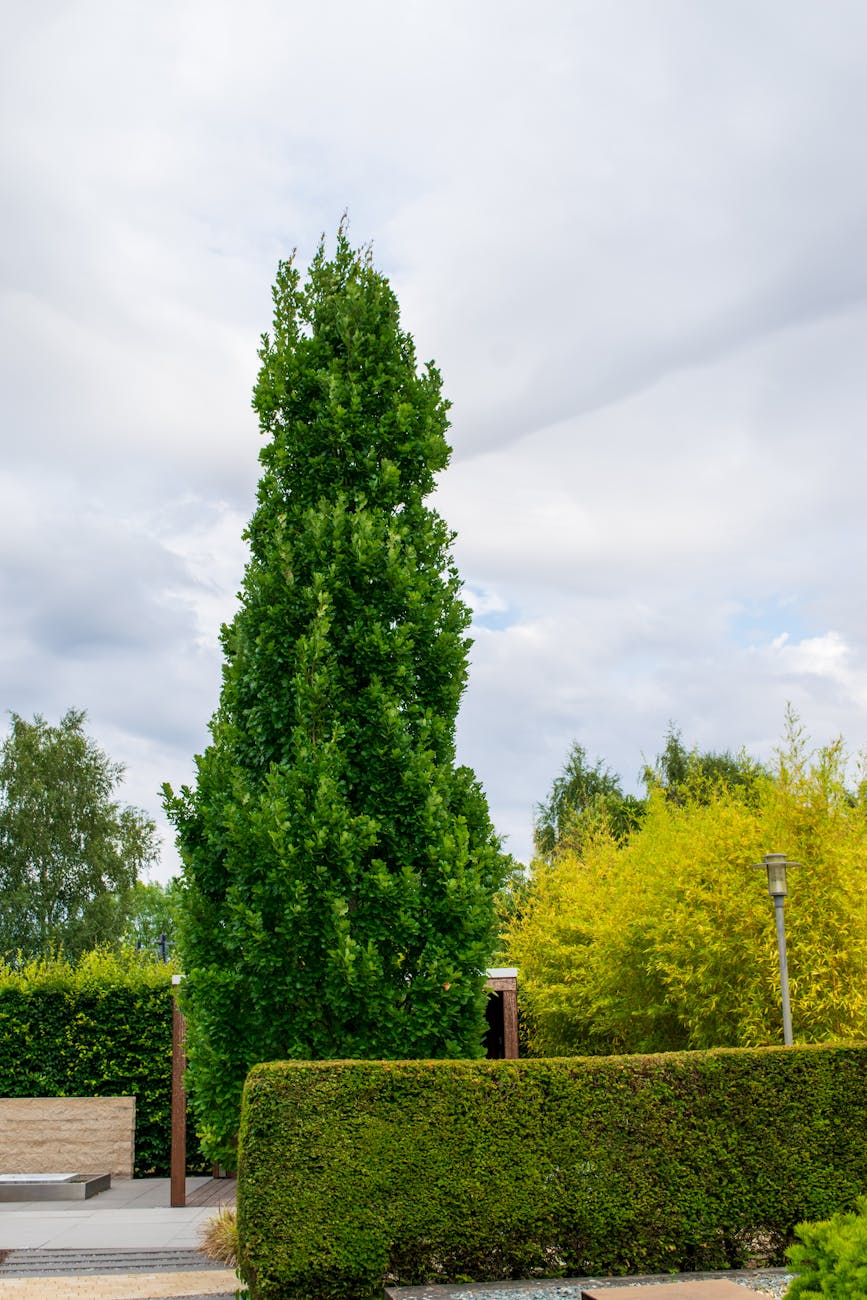 Innovative Gartengestaltung mit Vertikalen Pflanzensystemen: Mehr Grün Im Urbanen Raum